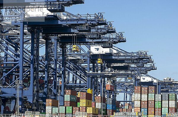 Container und Portalkräne  Hafen von Felixstowe  Suffolk  England  verkehrsreichster Containerhafen in Großbritannien