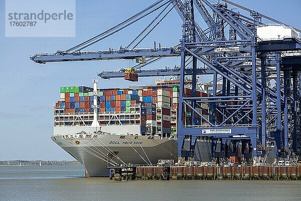 OOCL Hongkong Containerschiffkräne beim Entladen  Hafen von Felixstowe  Suffolk  England  UK