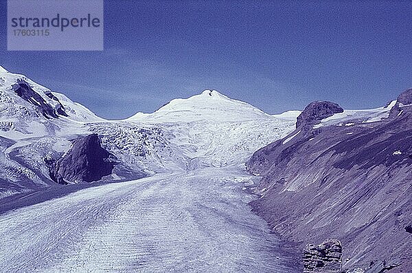 Blick auf Pasterzenboden und Johannisberg  Großglockner  Kärnten  Tirol  Österreich  sechziger Jahre  Europa