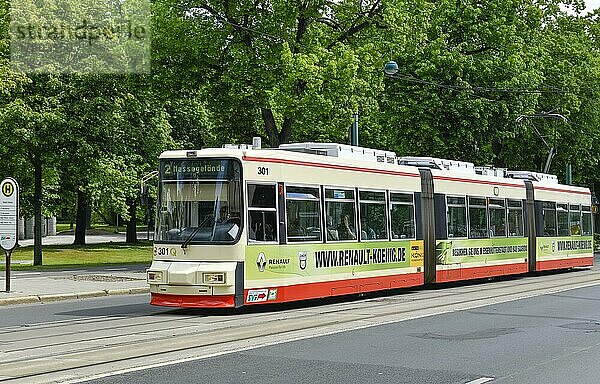 Tram  Heilbronner Straße  Frankfurt an der Oder  Brandenburg  Deutschland  Europa