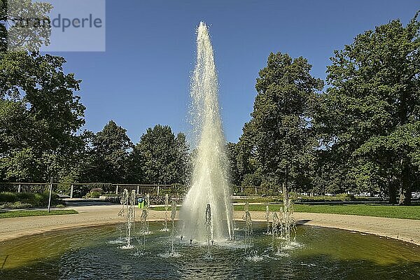Springbrunnen im Rosengarten  Treptower Park  Treptow-Köpenick  Berlin  Deutschland  Europa