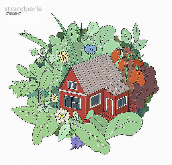 Niedliches Häuschen umgeben von Pflanzen