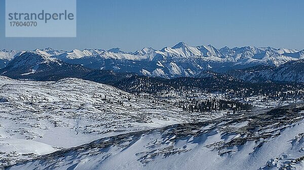 Winterlandschaft  verschneite Berggipfel  Aussicht vom Krippenstein  Salzkammergut  Oberösterreich  Österreich  Europa