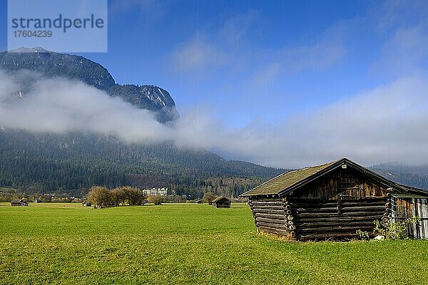 Heustadel  grüne Wiese mit Nebel  hinten Wettersteingebirge  Zugspitze  Berglandschaft  Garmisch-Partenkirchen  Oberbayern  Bayern  Deutschland  Europa