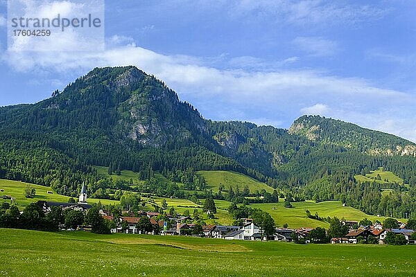 Bad Hindelang  hinten Hirschberg  Oberallgäu  Allgäu  Schwaben  Deutschland  Europa