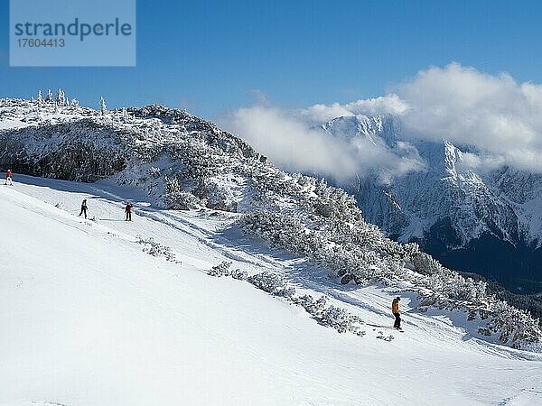 Skisportler in Winterlandschaft  Auusicht vom Lawinenstein zum Grimming  Tauplitzalm  Steiermark  Österreich  Europa