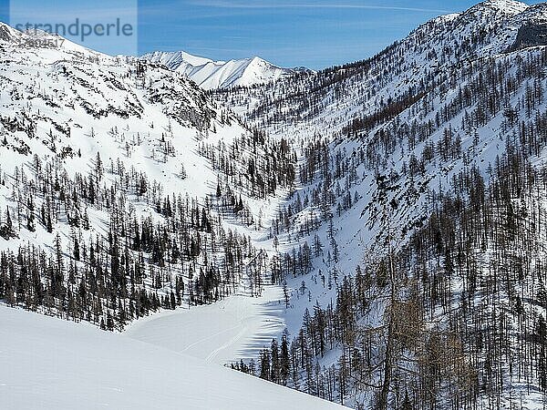 Winterlandschaft  karge Bäume und verschneite Berggipfel  Aussicht auf den zugefrorenen Steirersee  Tauplitzalm  Steiermark  Österreich  Europa