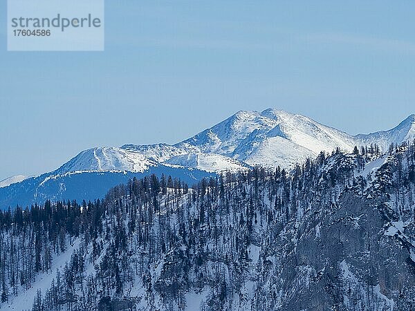 Winterlandschaft  karge Bäume und verschneite Berggipfel  Tauplitzalm  Steiermark  Österreich  Europa