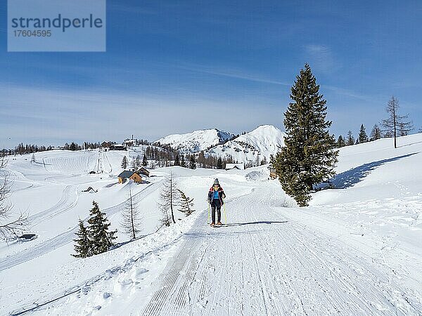 Schneeschuhwanderin in Winterlandschaft  Tauplitzalm  Stieiermark  Österreich  Europa