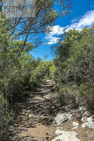 Pferdeweg  Cami de Cavalls  Menorca  Balearen  Spanien  Europa