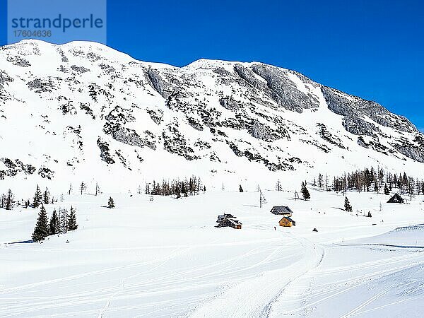 Blauer Himmel über Winterlandschaft  verschneite Berggipfel und Almhütten  Tauplitzalm  Steiermark  Österreich  Europa