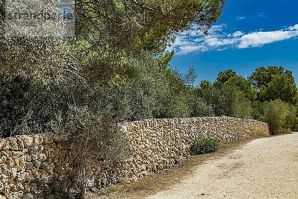 Trockensteinmauer  Menorca  Balearen  Spanien  Europa