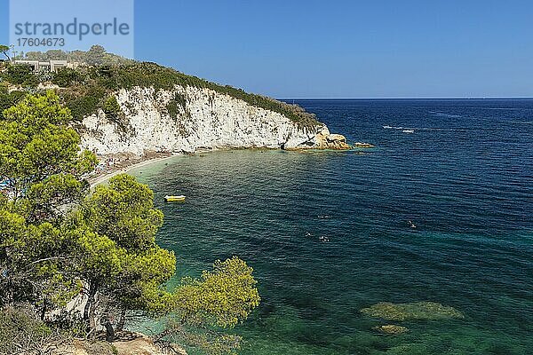 Padulella Strand  Portoferraio  Insel Elba  Provinz Livorno  Toskana  Italien  Europa