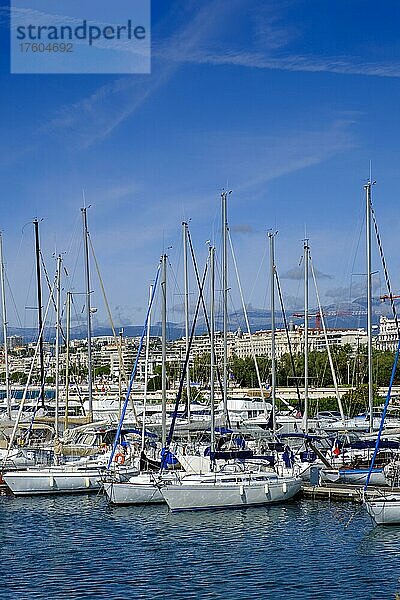 Port Pierre Canto  Hafen  Cannes  Département Alpes-Maritimes  Provence-Alpes-Cote d'Azur  Frankreich  Europa