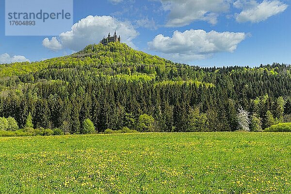 Burg Hohenzollern im Frühjahr  Schwäbische Alb  Baden-Württemberg  Deutschland  Europa