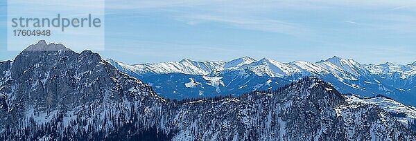 Winterlandschaft  karge Bäume und verschneite Berggipfel  Tauplitzalm  Steiermark  Österreich  Europa