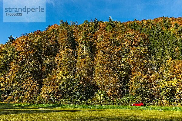 Kleines rotes Auto in einer schönen Herbstlandschaft in der Nähe von Graz  Steiermark  Österreich  Europa