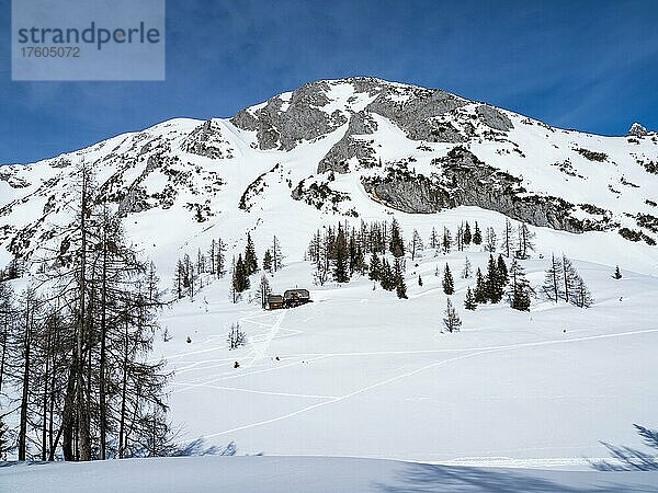 Winterlandschaft  Almhütte  verschneite Berggipfel  Tauplitzalm  Steiermark  Österreich  Europa