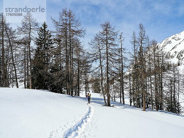 Schneeschuhwanderin in Winterlandschaft  Tauplitzalm  Steiermark  Österreich  Europa