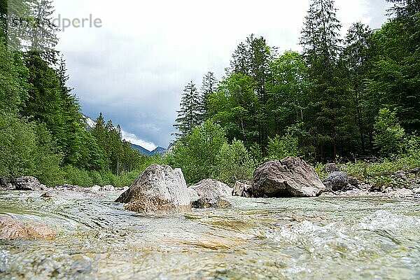 Pöllat  im Vordergrund der Fluss mit klarem Wasser umgeben von Wald  im Hintergrund die Berge  Ammergauer Alpen  Ostallgäu  Schwangau  Bayern  Deutschland  Europa