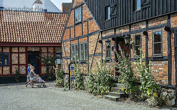 Eine Familie auf der Promenade zwischen schönen Fachwerkhäusern mit Stockrosen in der Altstadt von Ystad  Schonen  Schweden  Skandinavien  Europa