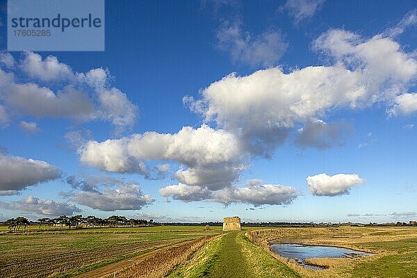 Flauschige weiße Cumuluswolke (cumulus) ziehen über Felder und den historischen Martello-Turm  Alderton  Suffolk  England  UK