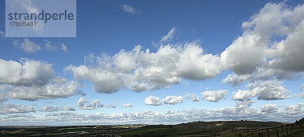 Wolkenlinien (Kumuluswolken) am blauen Himmel über dem Kreidegrund  Cherhill  Wiltshire  England  UK