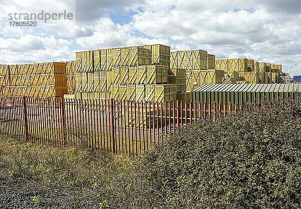 Stapel von Holzzaunplatten  die auf ihre Verteilung warten  Grange Vertriebszentrum  Harwich  Essex  England  UK