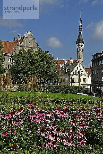 Turm des gotischen Rathauses  Rathausplatz  Tallinn  Estland  Baltikum  Europa