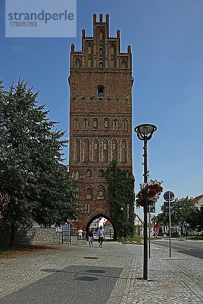 Steintor  Wahrzeichen  Anklam  Mecklenburg-Vorpommern  Deutschland  Europa