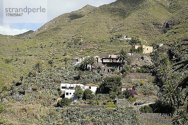 Bergdorf Masca Im Teno-Gebirge  Masca  Masca  Teneriffa  Spanien  Europa