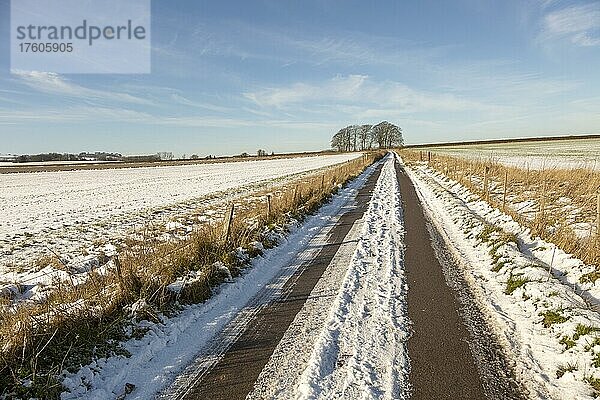 Winterlandschaft mit schneebedeckter Landstraße  in der Nähe von Yatesbury  Wiltshire  England  UK