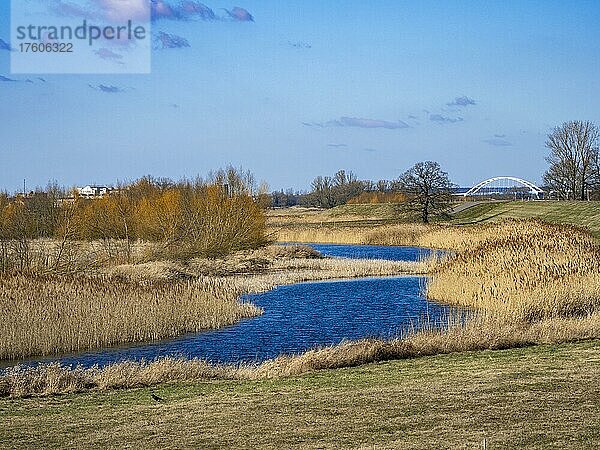 Elbauen  Elbbrücke bei Wust-Fischbeck  Landkreis Stendal  Sachsen-Anhalt  Deutschland  Europa