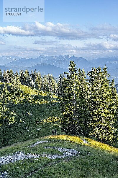 Wanderung zur Benediktenwand  Berge und Landschaft  Bayrische Voralpenlandschaft  Benediktbeuern  Bayern  Deutschland  Europa