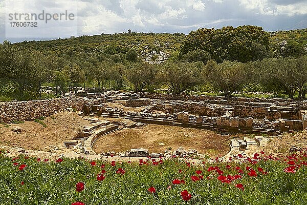 Frühling auf Kreta  Insel Kreta  Griechenland  Europa