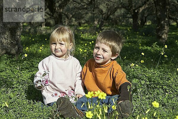 Frühling auf Kreta  ein blonder Junge und ein blondes Mädchen sitzen auf einer Frühlingswiese unter Olivenbäumen (Oliva)  Insel Kreta  Griechenland  Europa