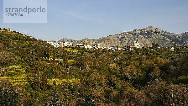 Frühling auf Kreta  Bergdorf  Gebirgsmassiv  Dikte Massiv  Bäume  Wiesen  Blumen  blauer Himmel  Schleierwolken  Ostkreta  Insel Kreta  Griechenland  Europa