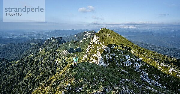 Wanderer  Wanderung zur Benediktenwand  Berge und Landschaft  Bayrische Voralpenlandschaft  Benediktbeuern  Bayern  Deutschland  Europa