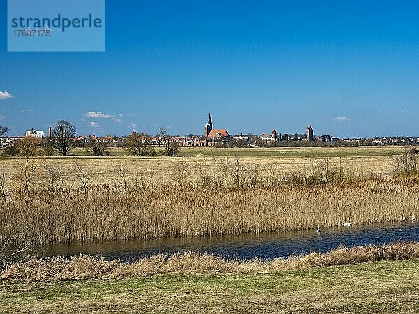 Elbauen bei Wust-Fischbeck  Blick auf Tangermünde mit Kirche St. Stephan  rundem Gefängnisturm und Kapitelturm  Sachsen-Anhalt  Deutschland  Europa