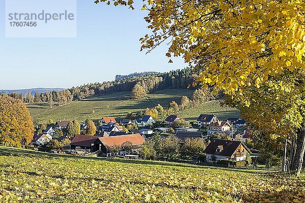 Ansicht von Pfaffendorf  im Hintergrund der Lilienstein  Herbst  Nationalpark Sächsische Schweiz  Sachsen  Deutschland  Europa