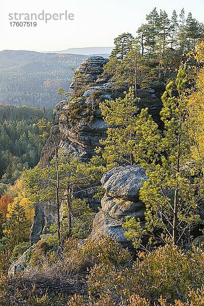Felsen und herbstlicher Mischwald auf dem Pfaffenstein  Sächsische Schweiz  Sachsen  Deutschland  Europa
