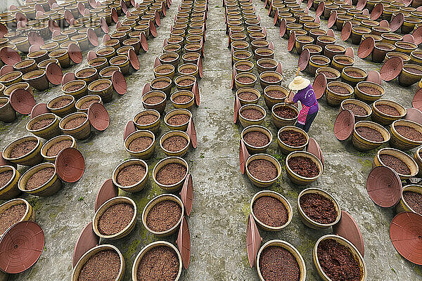 Mann  der sich um traditionelle Töpfe mit Chilibohnenpaste kümmert  Pixian Chilibohnenpastenfabrik außerhalb von Chengdu  Sichian  China; Chengdu Shi  Sichuan Sheng  China