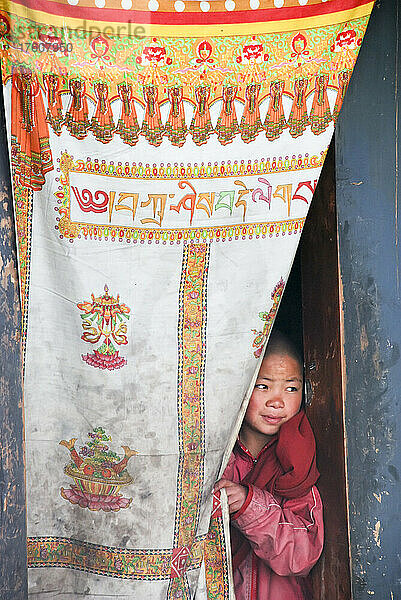 Im Kloster Gangteng Gompa in Phobjika  Bhutan  späht ein junger Mönch hinter einem Vorhang in einem Eingang hervor; Phobjika  Bhutan
