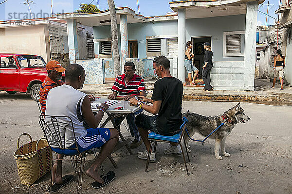 Ein Hund steht stramm und Menschen unterhalten sich  während vier Männer an einem Tisch in der Straße von Havanna  Kuba  Domino spielen; Havanna  Kuba