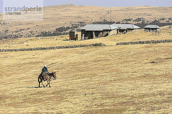 Viehzüchter reitet auf einem Maultier in Äthiopien; Äthiopien