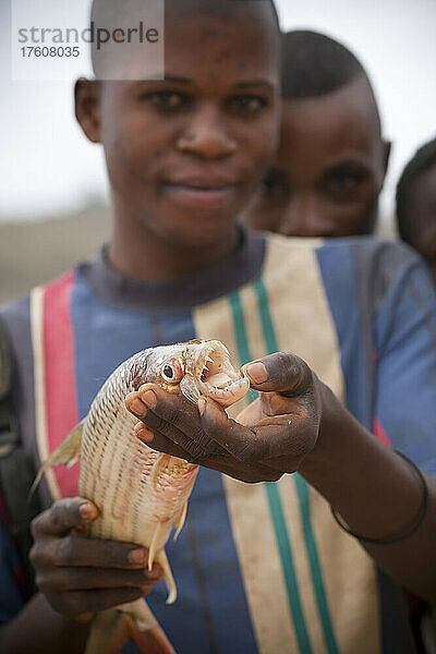 Ein Kongolese zeigt die Zähne eines Tigerfisches aus dem Kongofluss; Bulu  Demokratische Republik Kongo.