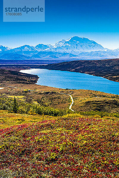 Mount Denali (McKinley) und Wonder Lake mit herbstlich gefärbter Tundra und blauem Himmel  Denali National Park and Preserve  Interior Alaska; Alaska  Vereinigte Staaten von Amerika