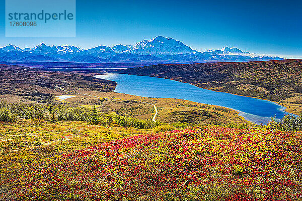 Mount Denali (McKinley) und Wonder Lake mit herbstlich gefärbter Tundra und blauem Himmel  Denali National Park and Preserve  Interior Alaska; Alaska  Vereinigte Staaten von Amerika