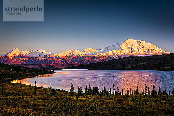 Sonnenuntergangsglühen auf dem Mount Denali (McKinley) spiegelt sich im Wonder Lake mit blauem Himmel  Denali National Park and Preserve im Herbst  Interior Alaska; Alaska  Vereinigte Staaten von Amerika