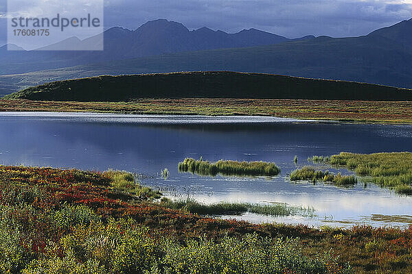 Denali Highway  Alaska  USA